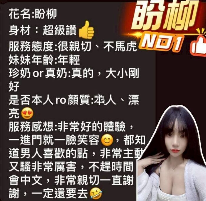 澎湖定點茶-盼柳/160/48/?/D