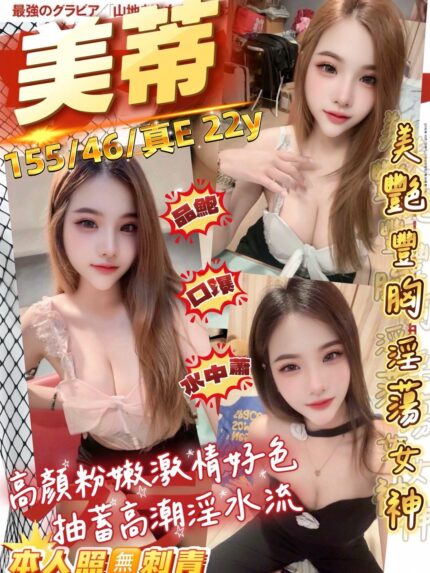 桃園定點茶-美蒂/155/45/22/E