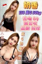 新北定點茶-奶香/158/50/?/G
