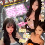新竹定點茶-莓果/162/47/22/C