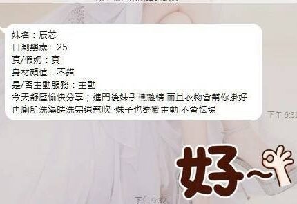 彰化定點茶-辰芯/160/45/?/C