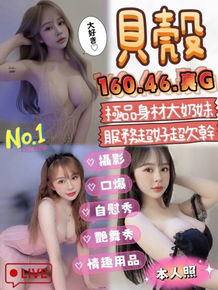 雲林定點茶-貝殼/160/46/?/G