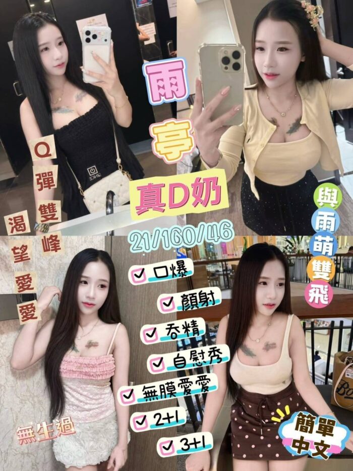 台東定點茶-雨亭/160/46/21/D