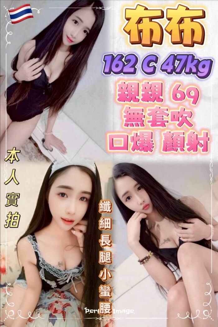 新北定點茶-布布/162/47/?/C