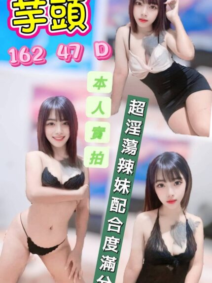 雲林定點茶-芋頭/162/47/?/D