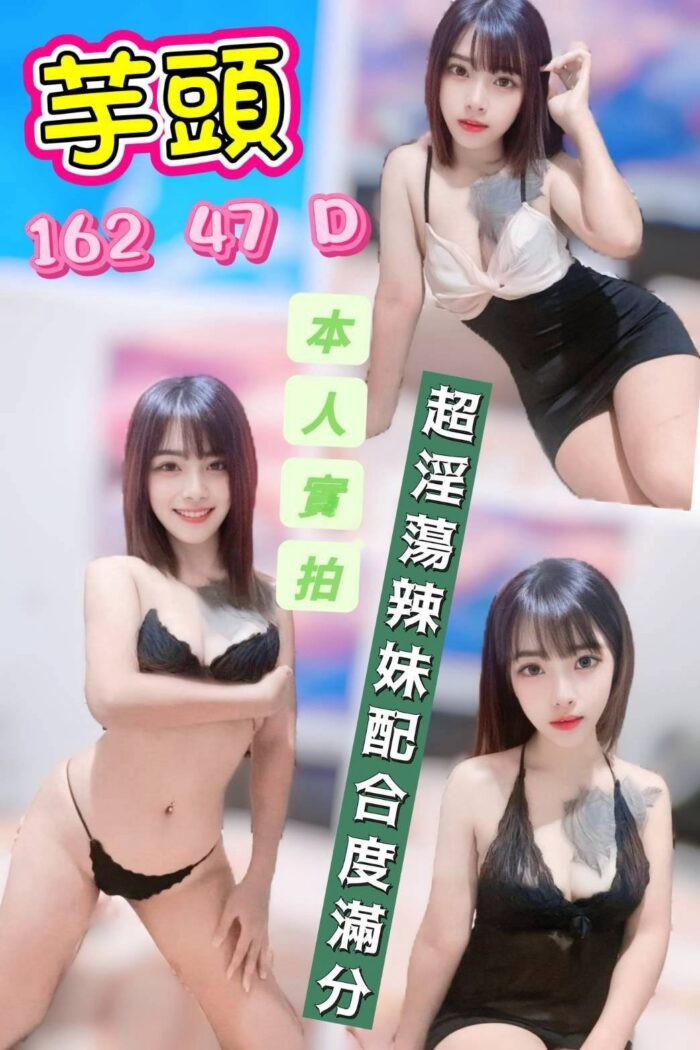 雲林定點茶-芋頭/162/47/?/D
