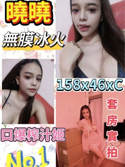 台北定點茶-曉曉/155/43/?/E