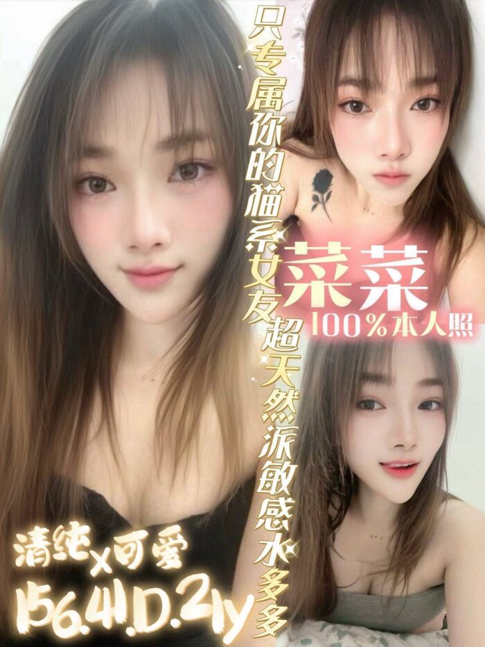 台南定點茶-菜菜/156/41/21/D