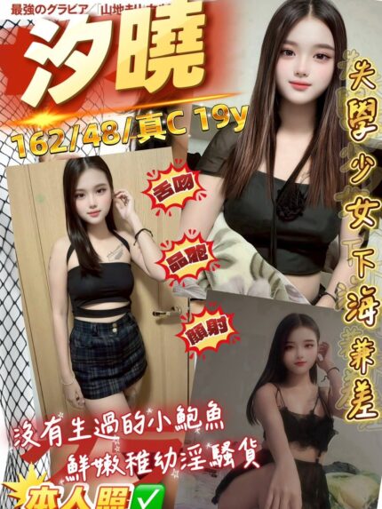 桃園定點茶-汐曉/162/48/19/C