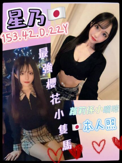 高雄定點茶-星乃/153/42/22/D