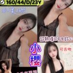 新竹定點茶-小櫻/160/44/23/D