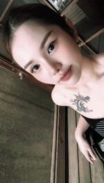嘉義定點茶-小兔/160/50/22/C