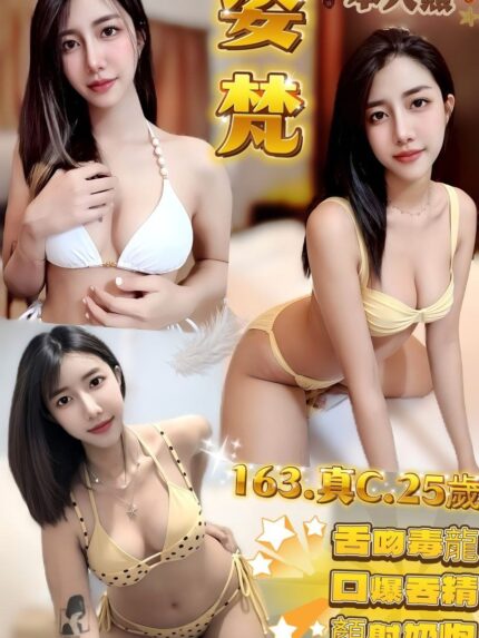 新北定點茶-姿梵/163/50/25/C