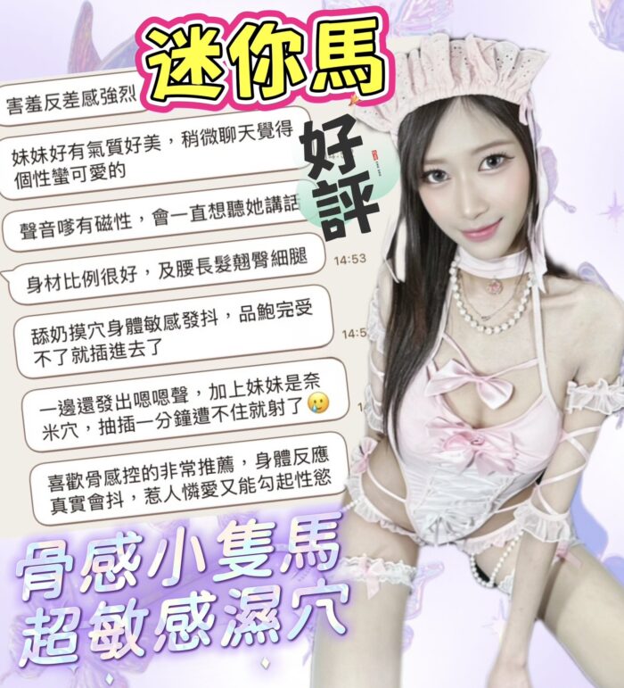 台中定點茶-迷你馬/158/40/20/D