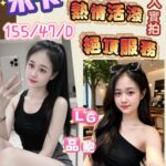 嘉義定點茶-米卡/155/47/27/D