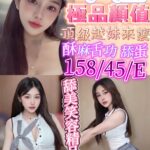 新竹定點茶-木槿/160/45/22/E