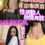 新竹定點茶-艷莉/155/44/?/C