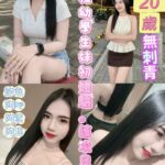 台東定點茶-嫦娥/156/46/20/C