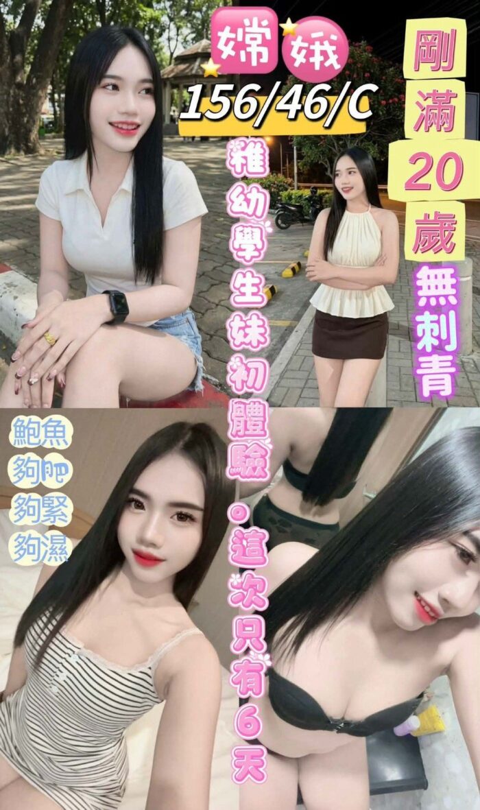 台東定點茶-嫦娥/156/46/20/C
