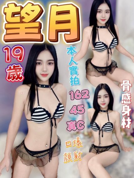 台中定點茶-望月/162/45/?/C
