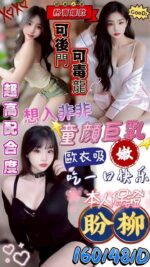 澎湖定點茶-盼柳/160/48/?/D