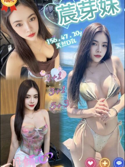 苗栗定點茶-莀芽妹/156/47/20/D